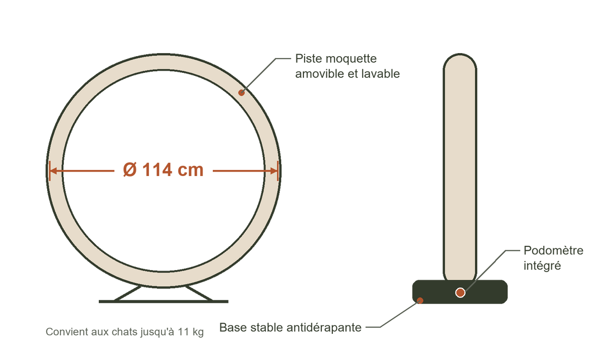 Schéma dimensionnel de la roue Catwheel : Ø 114 cm, piste moquette amovible, base stable, podomètre intégré