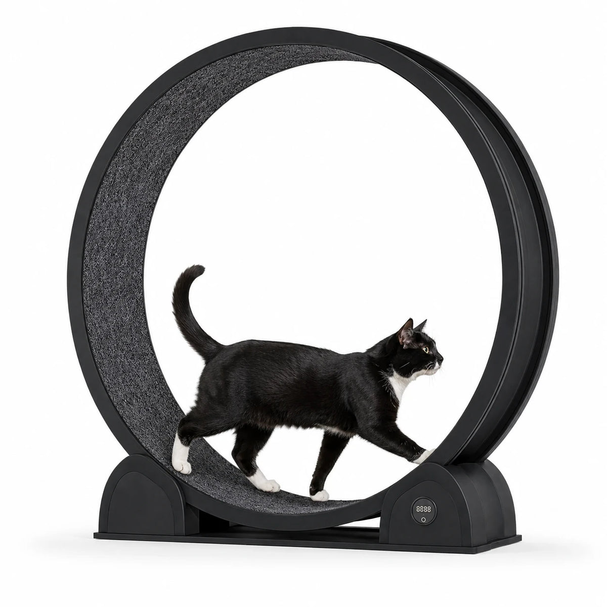 Chat noir et blanc marchant dans la roue Catwheel noire, avec tapis gris et compteur intégré au socle.
