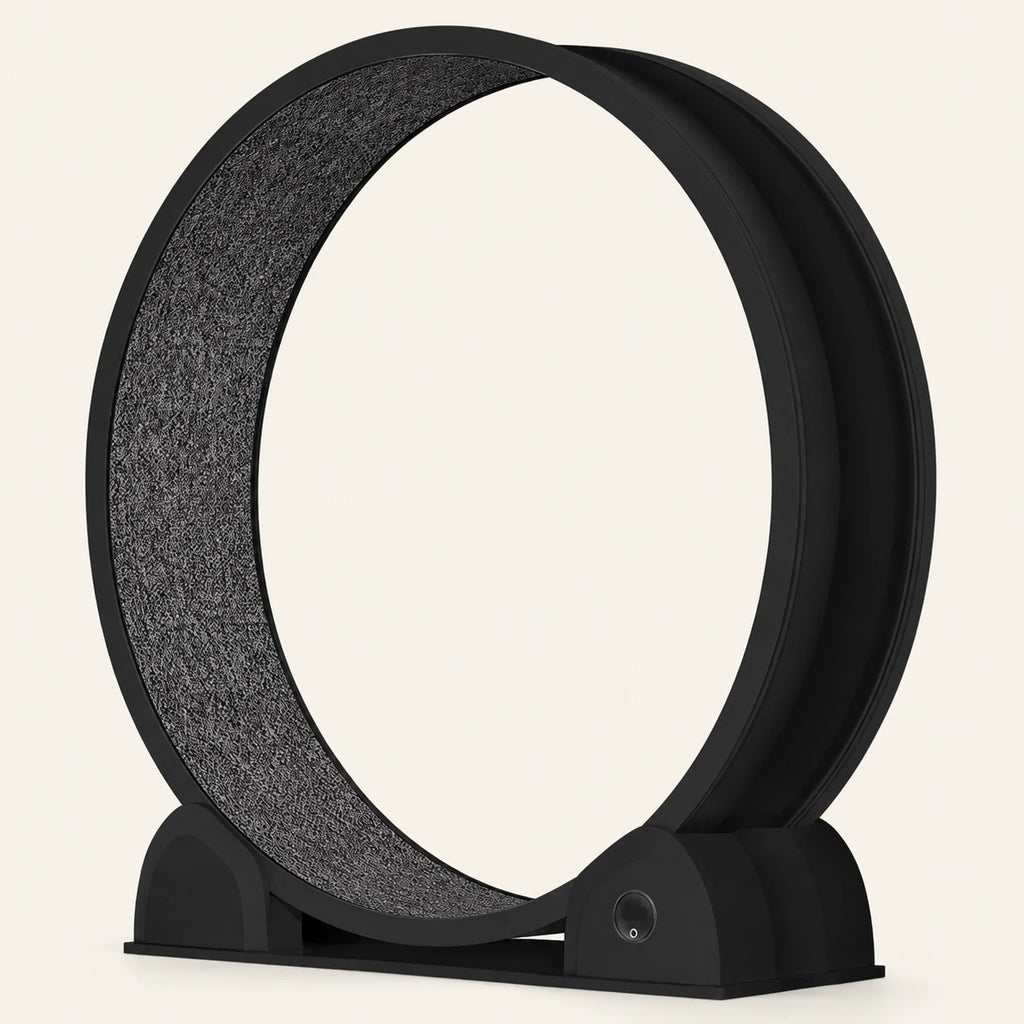 Roue pour chat Catwheel noire vue de trois quarts, avec tapis gris et afficheur rond sur le socle.