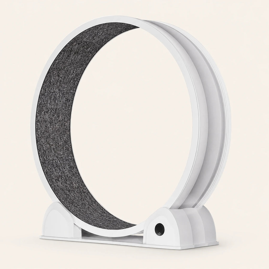 Roue pour chat Catwheel blanche vue de trois quarts, avec tapis gris et afficheur rond sur le socle.