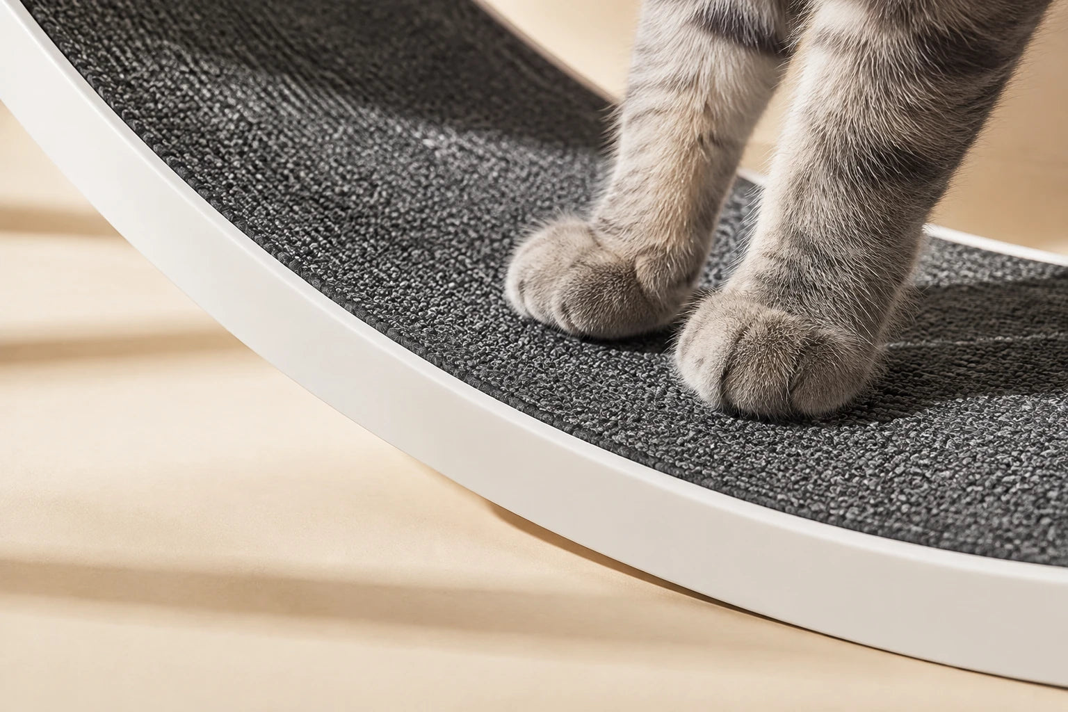 Gros plan sur la texture du tapis gris et le bord blanc de la roue.